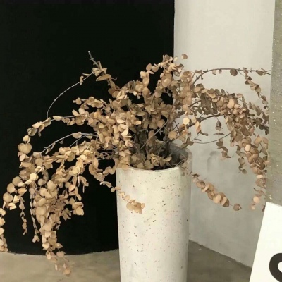 Furry插画构图解析福瑞群